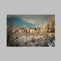 2024_01_20_Rhoen_Lange_Rhoen_IMG_2520.jpg